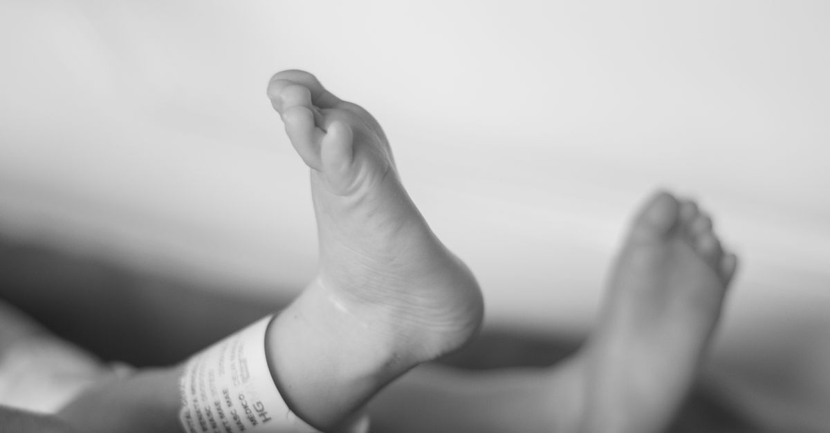 Surrogate Birth Sparks Legal Battle Over Child Custody