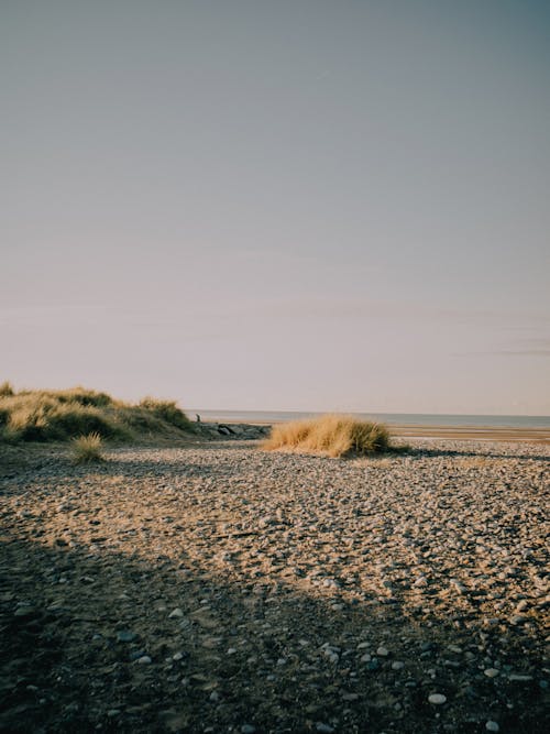 Pebbles in the Sand by the Beach