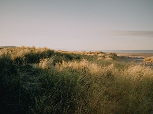 Free Peaceful sandy dunes and coastal grass at Rhyl Beach, Wales during a clear day. Stock Photo