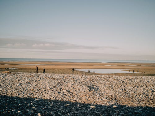 People Walking on the Beach on a Sunny Day 