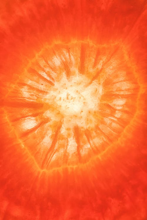 Gratis lagerfoto af abstrakt, appelsin, form