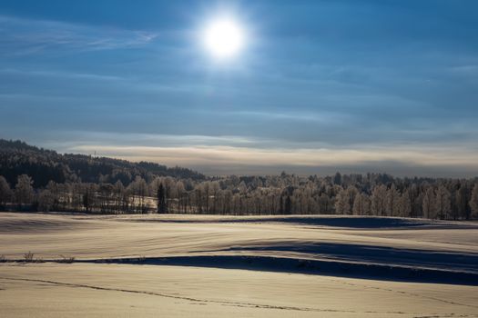 Crisp winter day with a snowy field and bright sun over a forested area.