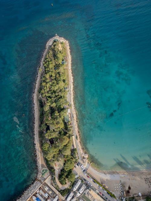 Trees on Foreland on Sea Shore