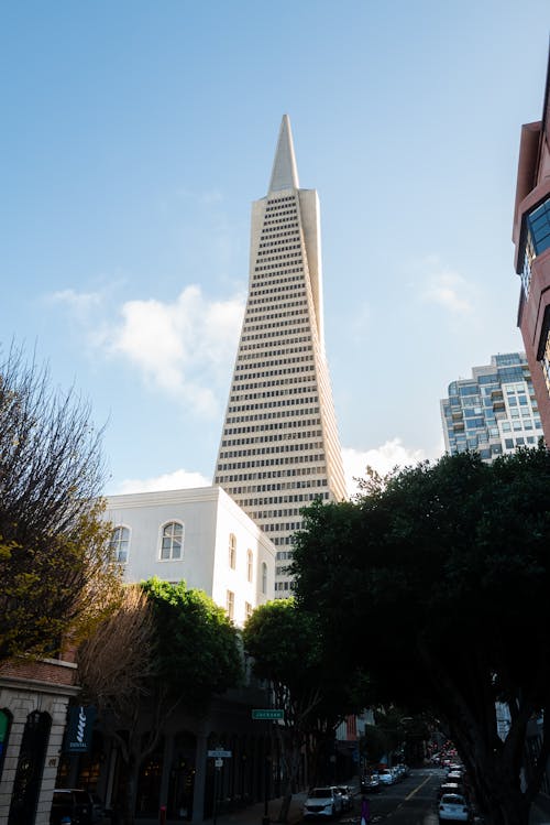 Transamerica Pyramid in San Fran