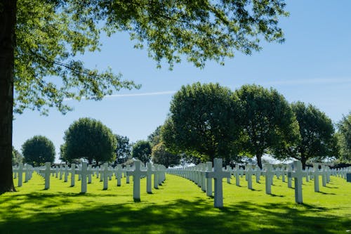 Free A Lawn Cemetery Stock Photo