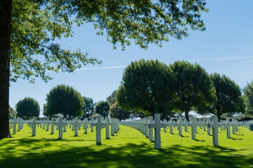 Free Peaceful military cemetery with aligned crosses under vibrant trees on a sunny day. Stock Photo