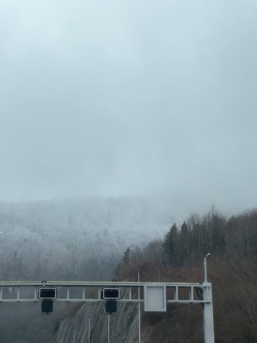 Kostnadsfri bild av schweiz, snö, träd