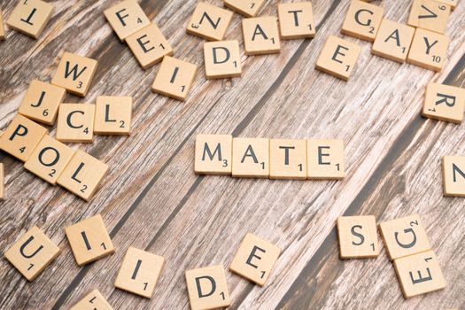 Arrangement of wooden letter tiles spelling 'MATE' on a rustic wooden surface.