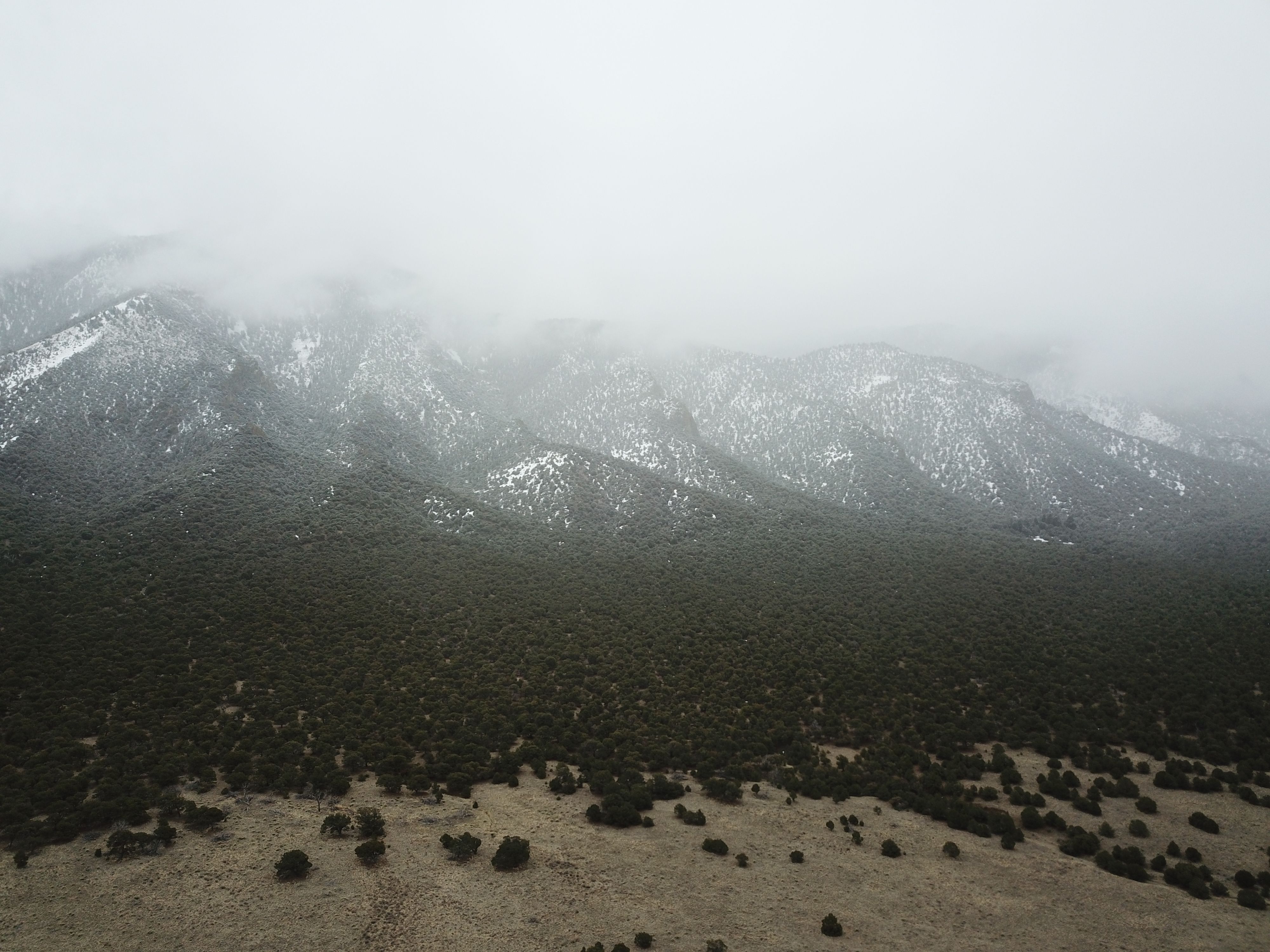 Taos