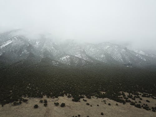 Fog over Mountains and Forest