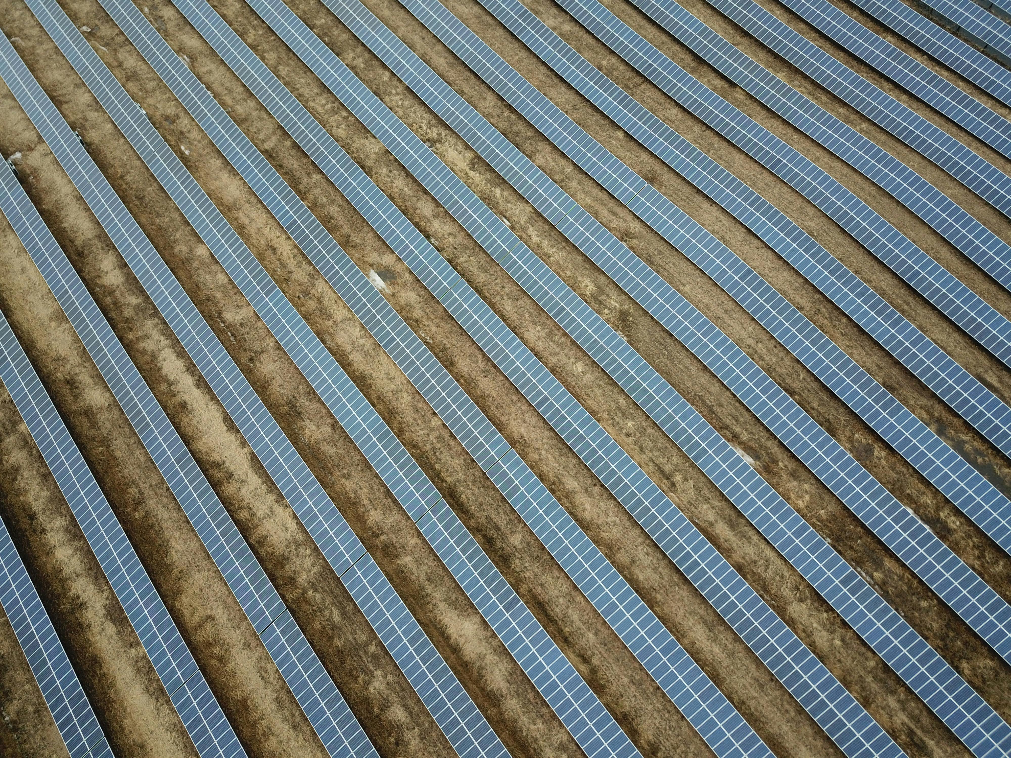Drone shot of solar panels in a vast solar farm, showcasing renewable energy.