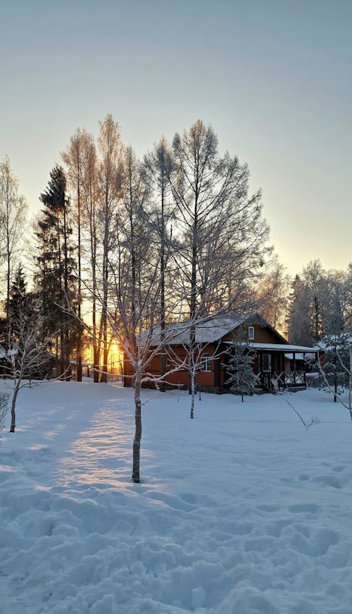 冬季, 冷, 別墅 的 免费素材图片