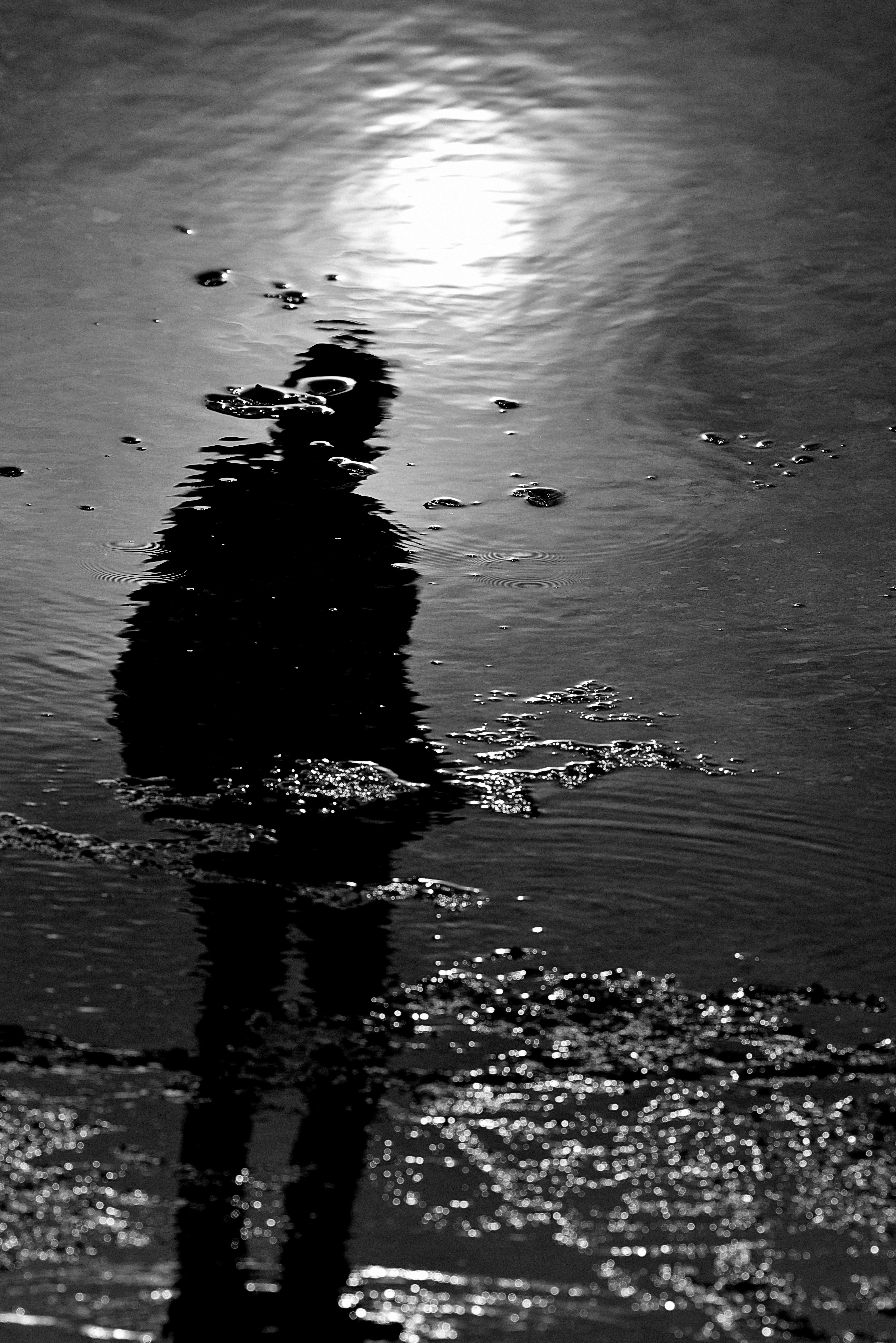Reflection of a Man in the Surface of a Body of Water · Free Stock Photo