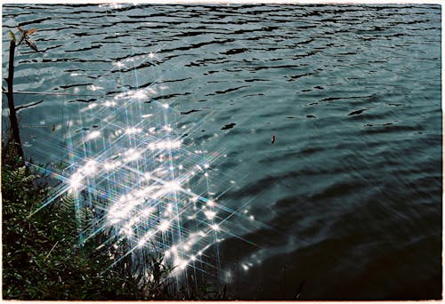 Бесплатное стоковое фото с lakeshore, блестящий, вода