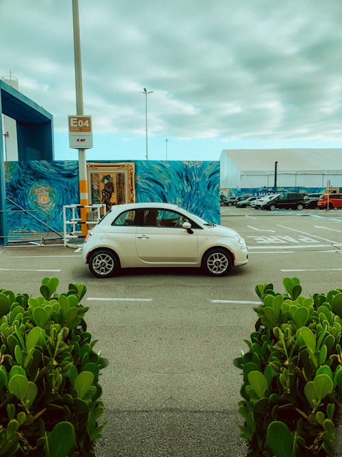 araba, beyaz, bitkiler içeren Ücretsiz stok fotoğraf