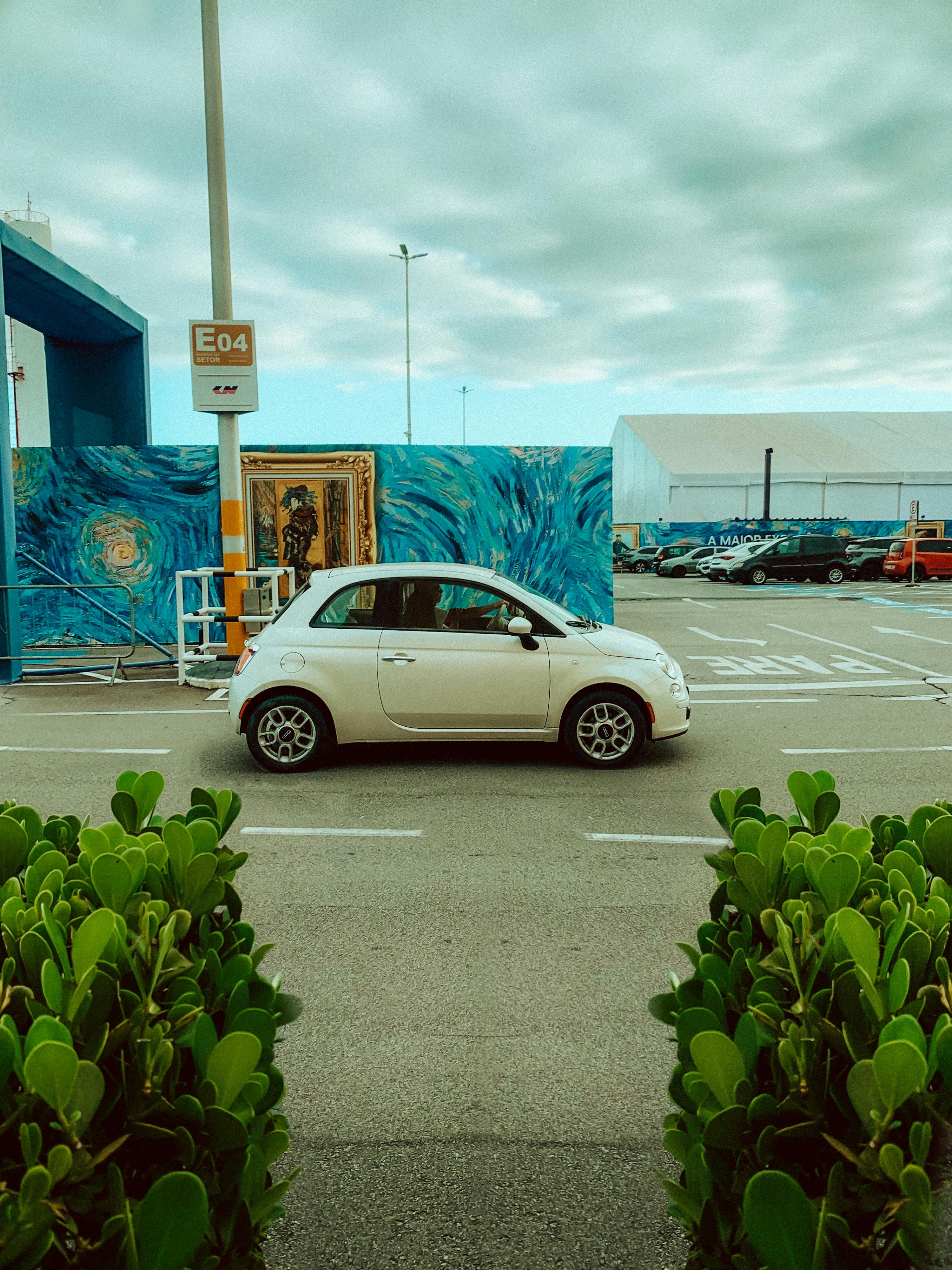 Shaun White Photos, Download The BEST Free Shaun White Stock Photos