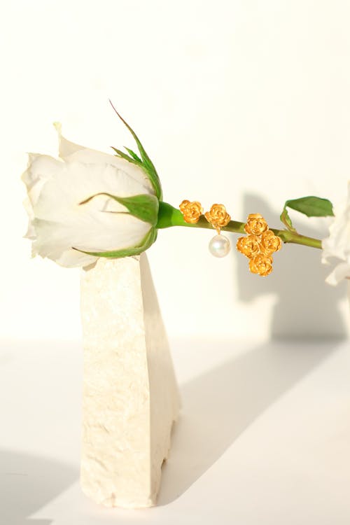 beyaz, çiçek, dikey atış içeren Ücretsiz stok fotoğraf