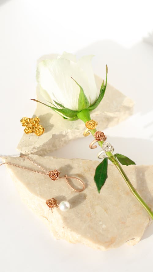 Immagine gratuita di anelli, bianco, fiore