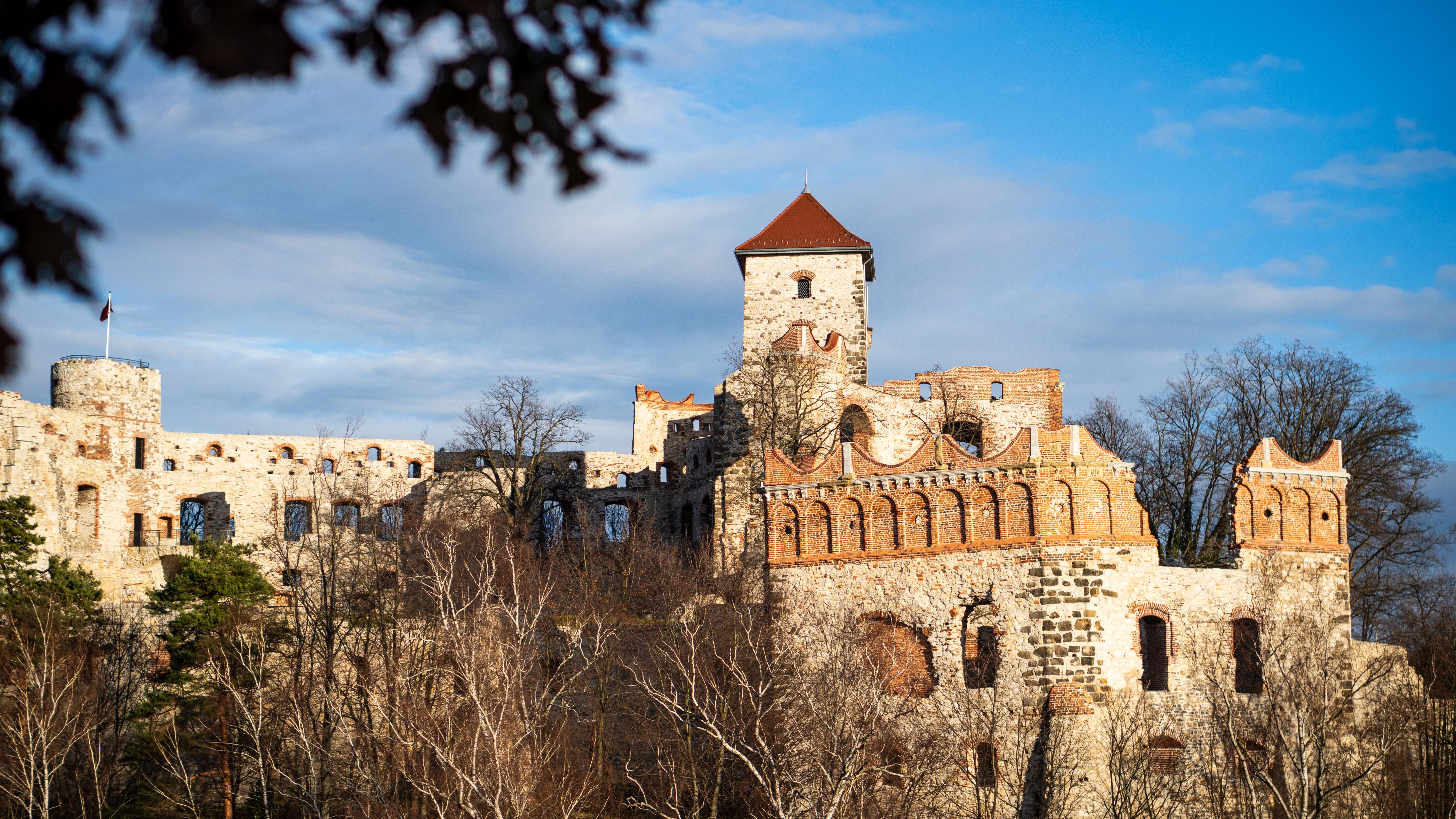 Foto: Michał Robak / Pexels