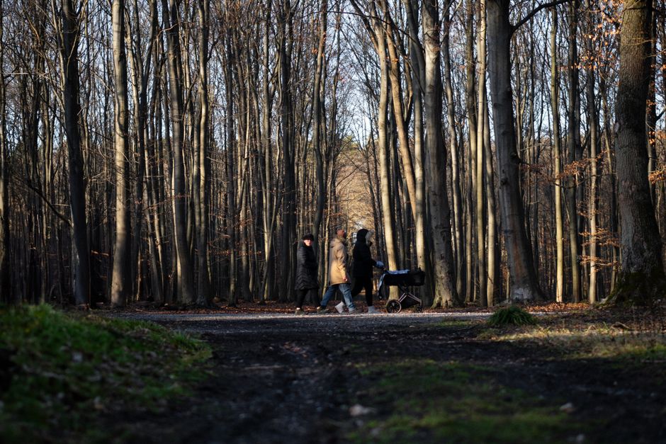 children walking arboretum path stroller