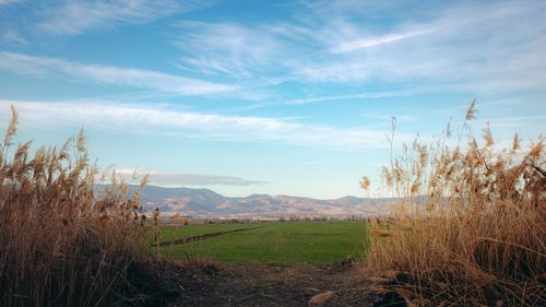 Free Beautiful rural landscape with tall grass and distant mountains under a clear sky. Stock Photo