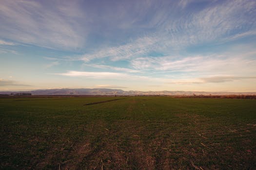 Expansive green field under a wide sky with distant mountain range. Ideal for agriculture themes.