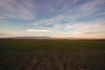 A wide green field under an open sky — photo by Orhan Pergel on Pexels