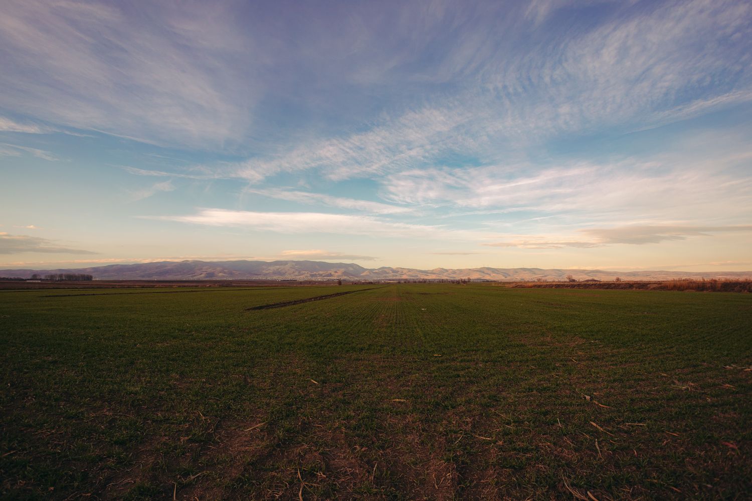 Remote Field Photos, Download The BEST Free Remote Field Stock Photos ...