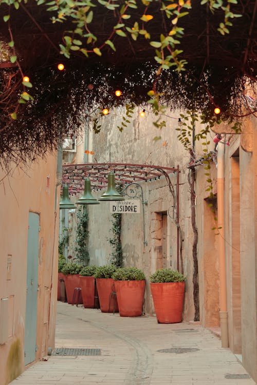 View of a Narrow Alley between Buildings Decorated with Potted Plants 