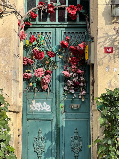 Kostnadsfri bild av blå dörr, blomning, bostad