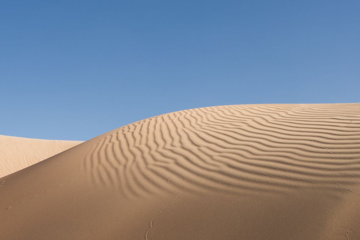 Wind-rippled sand dune under a clear blue sky in eastern Oman