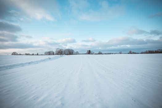 Serene winter landscape with snow-covered field beneath a crisp blue sky and clouds.