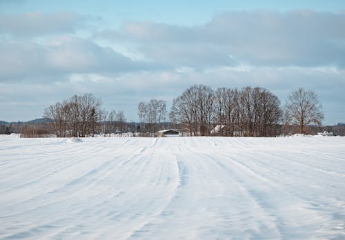 Foto stok gratis awan, bidang, dingin