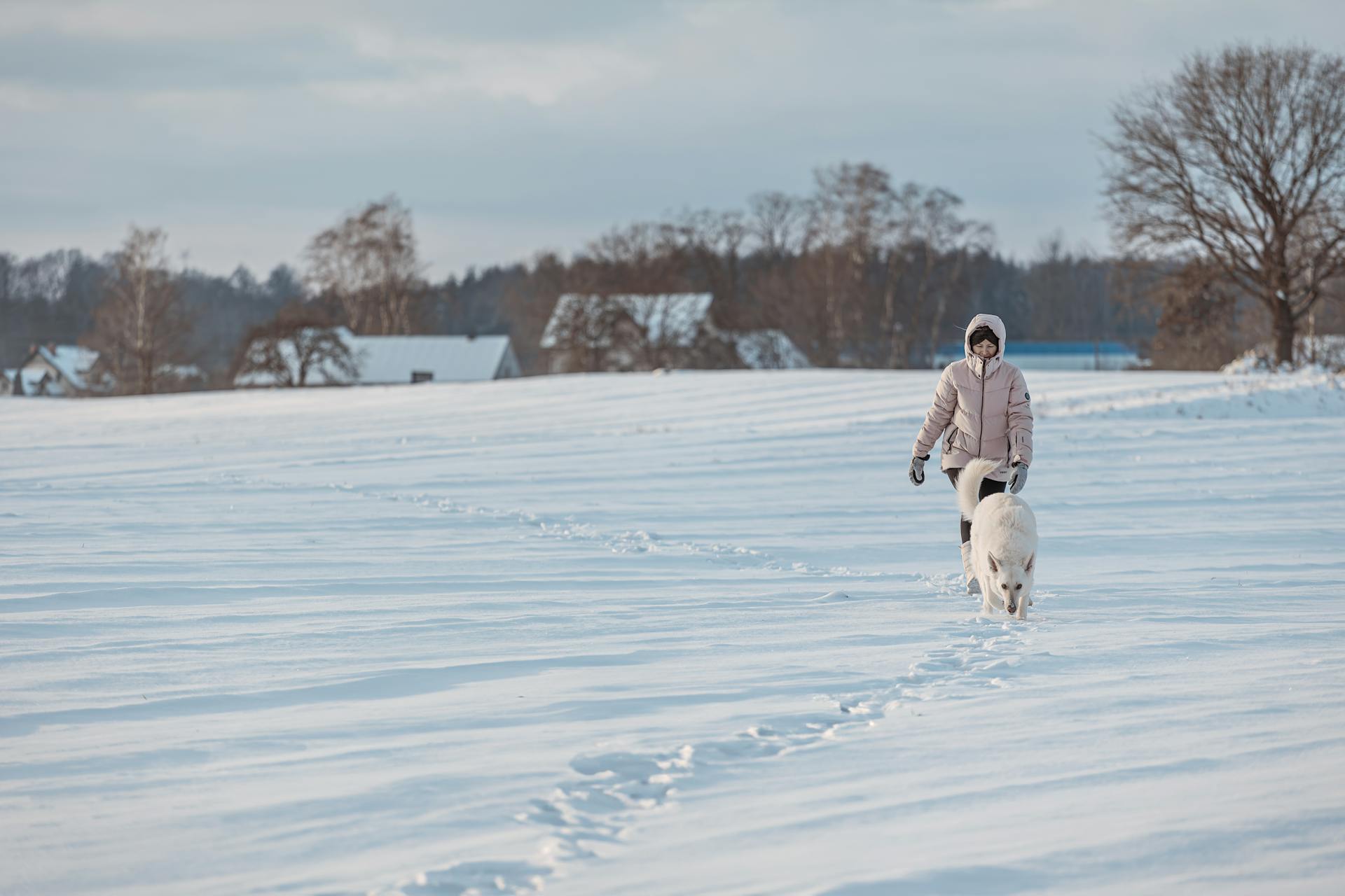 person walking with dog on snow filed in winter