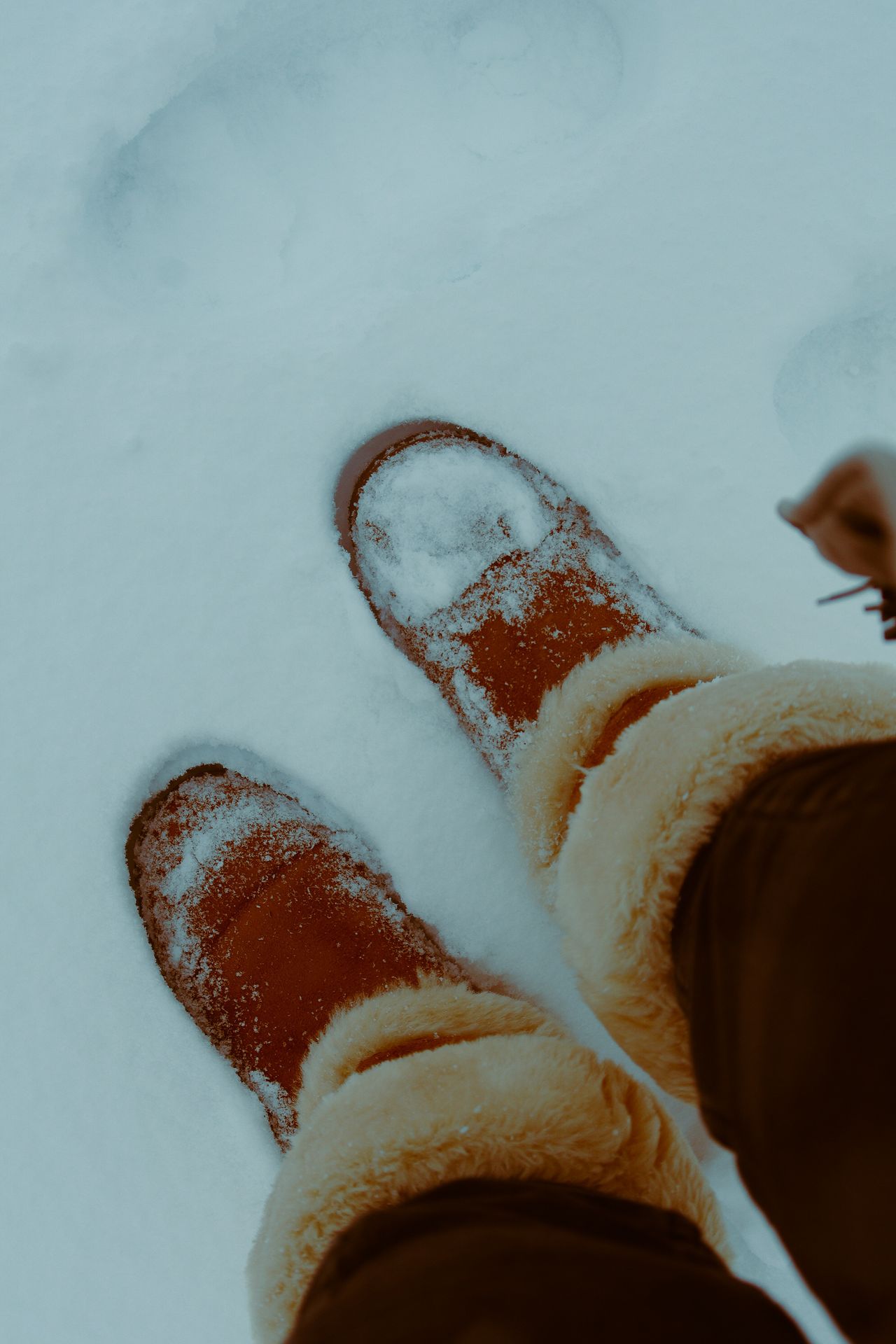 Shearling-lined winter boots standing in fresh snow