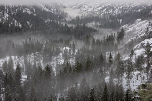 冬季, 季節, 山谷 的 免費圖庫相片