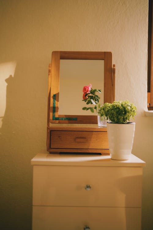 Foto stok gratis cermin, desain interior, flora