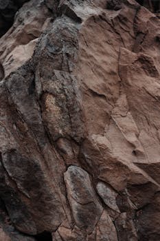 Detailed close-up of a textured rock surface showcasing geological patterns and rough texture.
