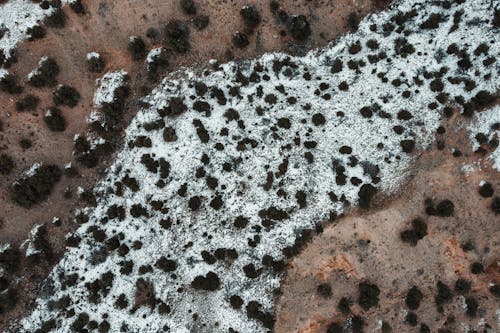 Texture of a Ground with Frost