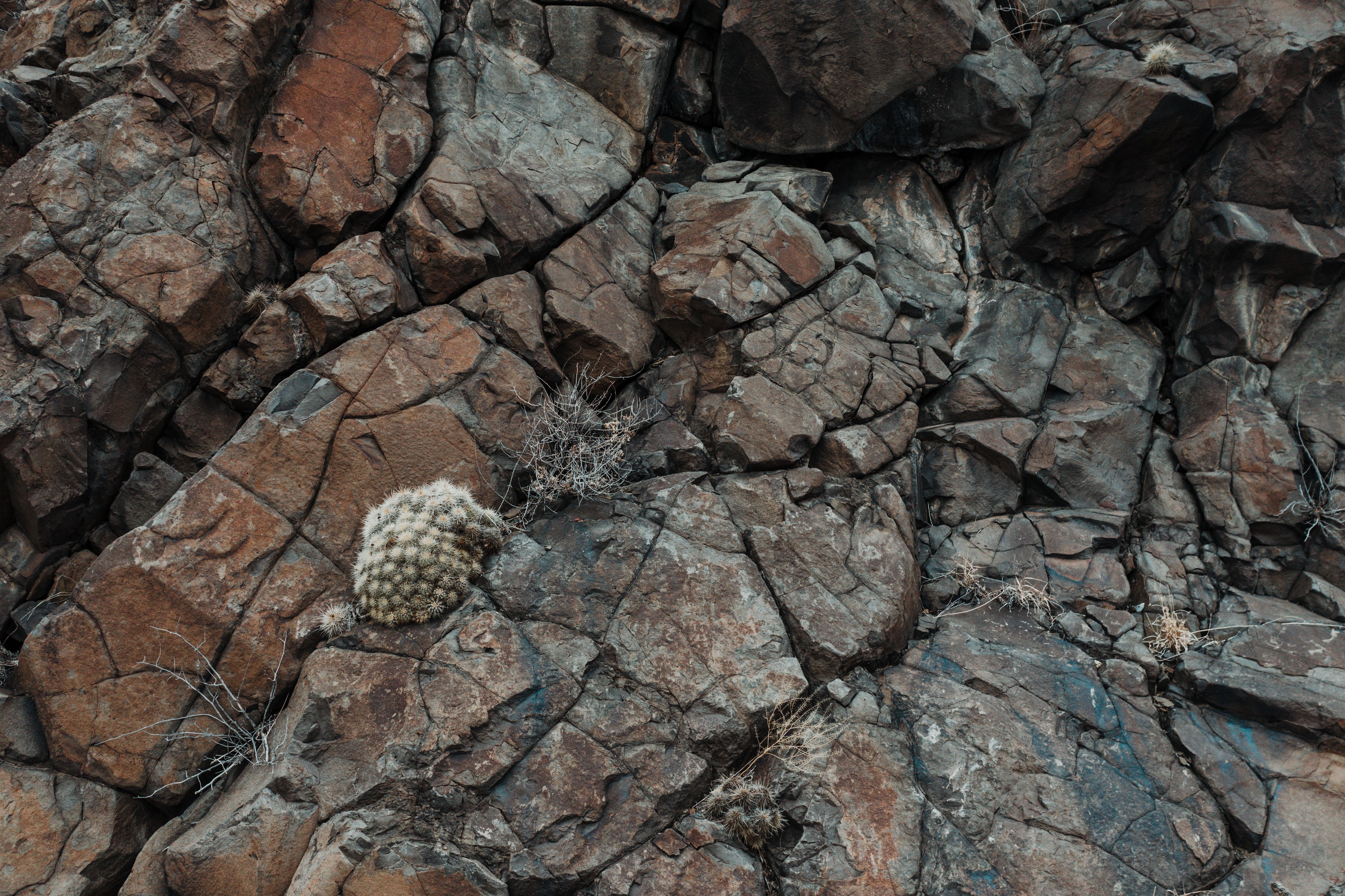 GEF Proposes $140 Million Program to Strengthen Drought Resilience — Photo by Alfo Medeiros on Pexels