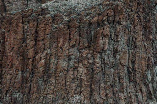 Základová fotografie zdarma na téma detail, drsný, skalní povrch