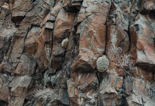 Darmowe zdjęcie z galerii z geologia, kamień, piaskowiec