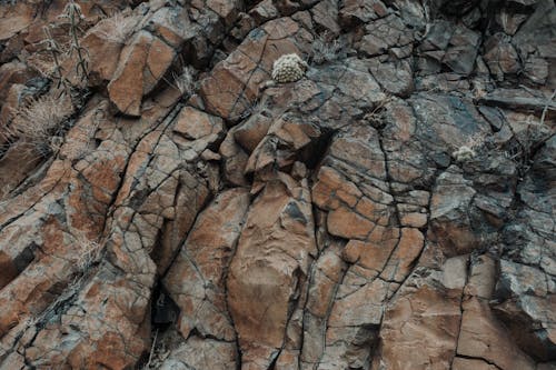 Darmowe zdjęcie z galerii z formacja skalna, kamień, pęknięty