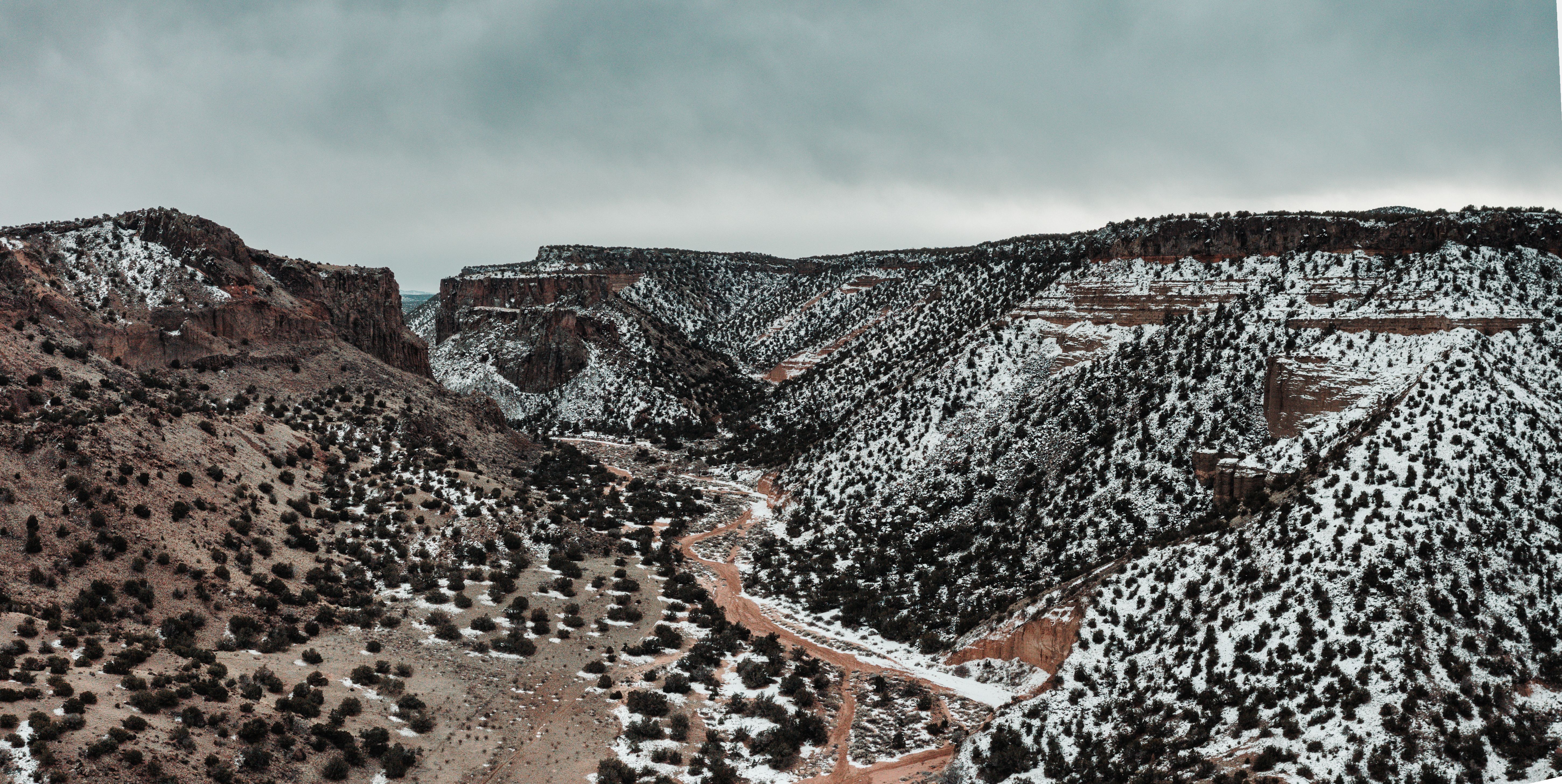 A breathtaking view of a snowy canyon in White Rock, NM, capturing the winter landscape.