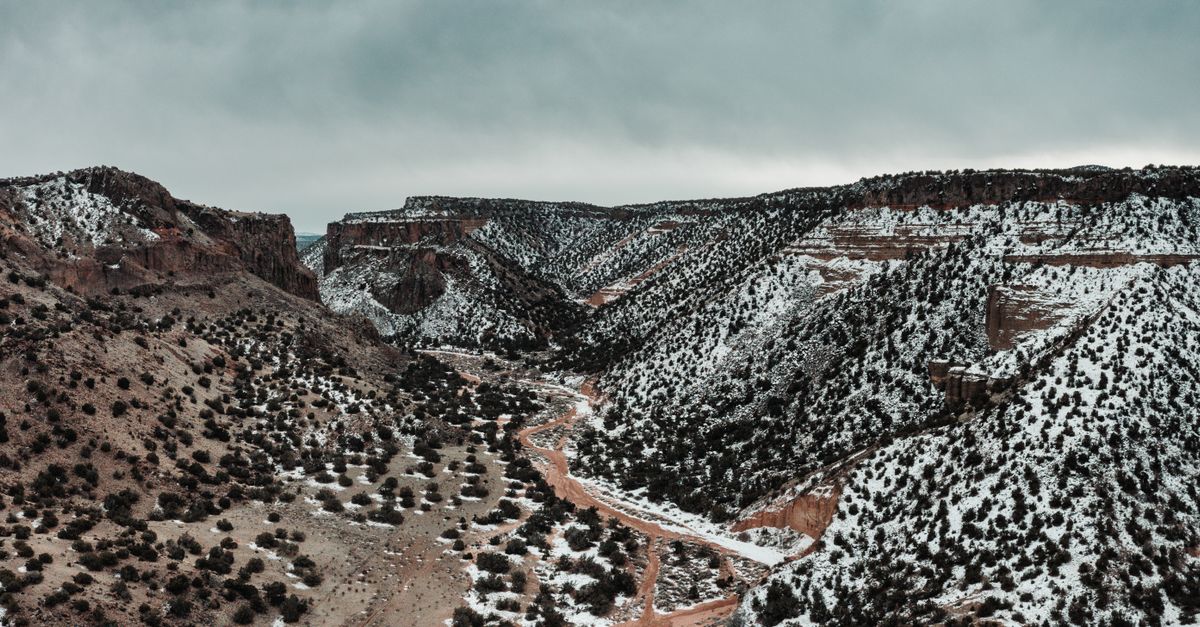 A breathtaking view of a snowy canyon in White Rock, NM, capturing the winter landscape.