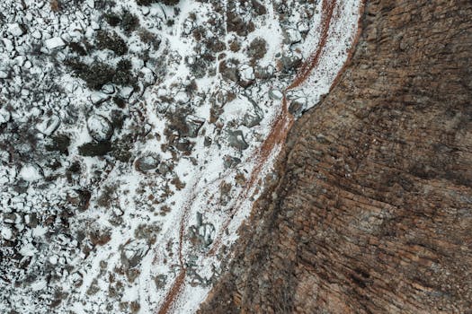 Image by Alfo Medeiros