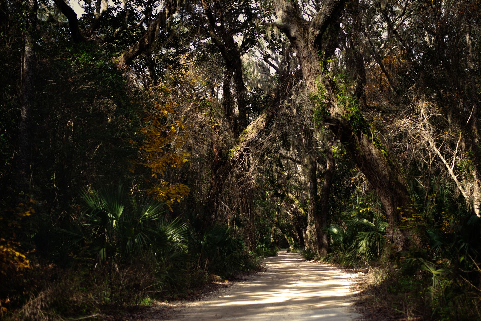 Timucuan Ecological and Historic Preserve