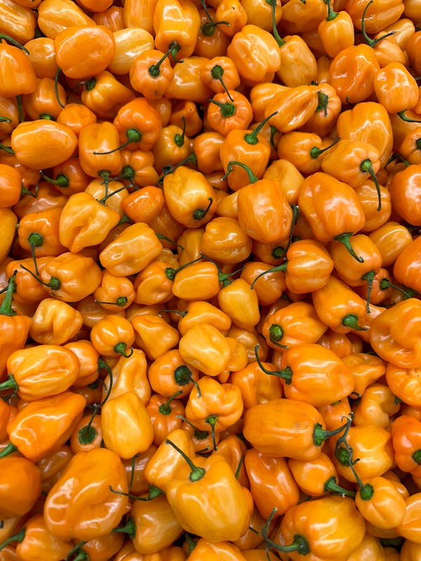 max habanero