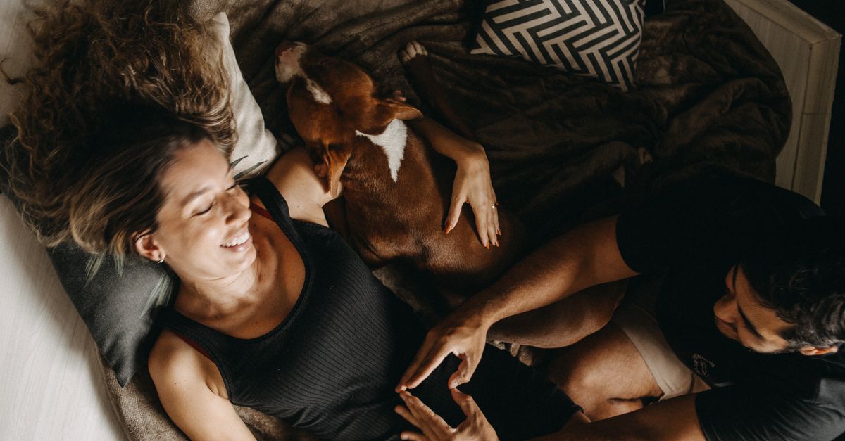 Momento relaxante em ambiente interno com um casal feliz e seu cachorro em um ambiente aconchegante.