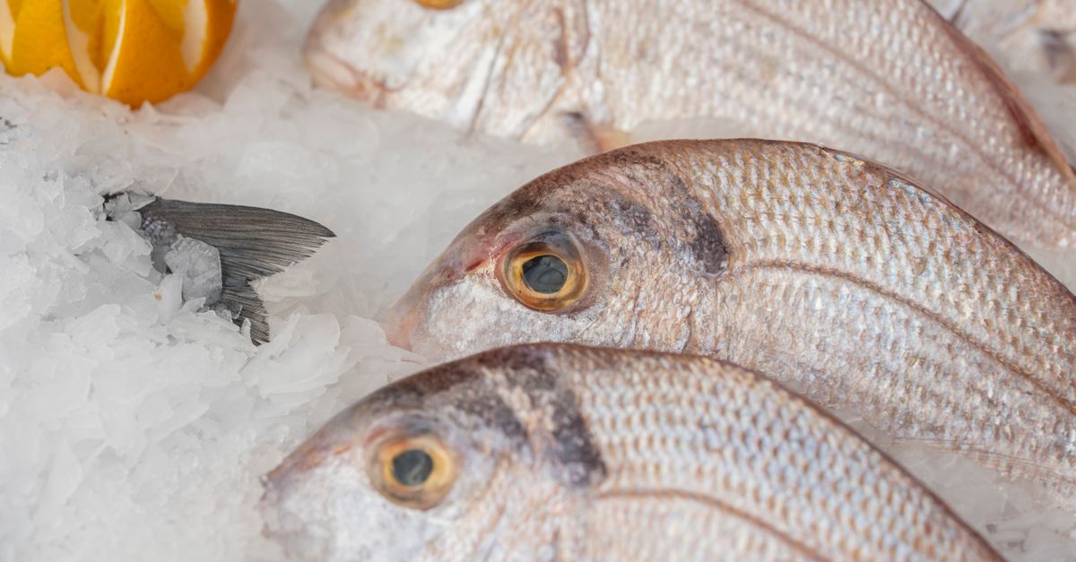 Tout savoir sur les fruits de mer : choix et préparation